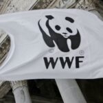 Abbattimento ulivi monumentali a Torre Guaceto: protesta WWF Italia