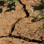 Emergenza idrica: ‘Da Governo 50 milioni per Comuni del Foggiano’