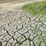 Siccità, Coldiretti: ‘È emergenza idrica in Basilicata’