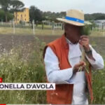 Orsara di Puglia, giovani alla scoperta delle erbe spontanee
