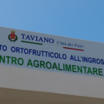 Taviano, dieci milioni dal Ministero per la rivalorizzazione dei mercati floricolo e ortofrutticolo