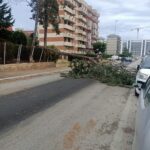 Maltempo a Bari, ramo cade in via Loiacono