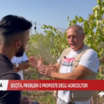 Castellaneta, siccità: problemi e proposte degli agricoltori
