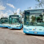 Lecce, trasporto pubblico: ‘Poli Bortone ferma piano per nuove corse e servizi’