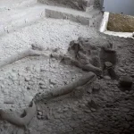 In Basilicata i resti del più antico leone delle caverne d’Europa