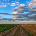 Puglia: affitti agricoli in crescita, rallentano gli acquisti di terreni