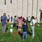 Taurisano, nuovi alberi d’ulivo nelle aiuole della chiesa parrocchiale nel segno della pace