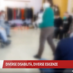 Diverse disabilità, diverse esigenze