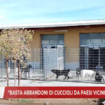 Grottaglie: “Basta abbandoni di cuccioli da paesi vicini”