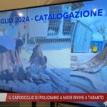 Il capodoglio di Polignano a Mare rivive a Taranto