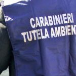 Traffico illecito di rifiuti, indagini dei Carabinieri del NOE