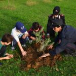 “Un Albero per il Futuro” per riqualificare le Isole Eolie