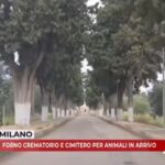 Pulsano, forno crematorio e cimitero per animali d’affezione in arrivo