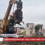 Foggia, lavori in Piazza Sant’Eligio: “quegli alberi andavano tolti”