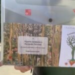 Ernest Verner, al parco Rossani di Bari quindici nuovi alberi con targhe ricordo