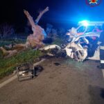 Oria, auto sbatte contro albero: donna in ospedale