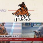 Taranto, due banchetti per il calendario di Max