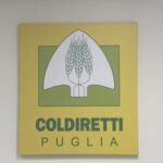 Coldiretti, in Puglia fatturati 4 miliardi in agricoltura nel 2024