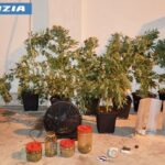 Taranto, scoperta serra di marijuana in casa: arrestato 47enne