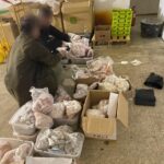 Lecce, blitz Guardia Costiera: sequestrati cibi non tracciati e fuochi d’artificio