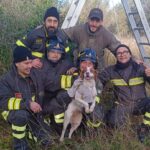 San Pietro Vernotico, cane cade nel pozzo: salvato dai vigili del fuoco