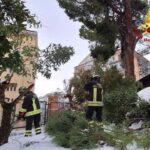 Vigili del Fuoco Potenza, in tre giorni 321 interventi 