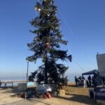 Pane e Pomodoro saluta l’albero di Natale