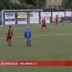 UC Bisceglie-Polimnia 2-2, la sintesi del match