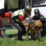 Laterza ospita polo nazionale per Unità Cinofile Molecolari del Soccorso Alpino