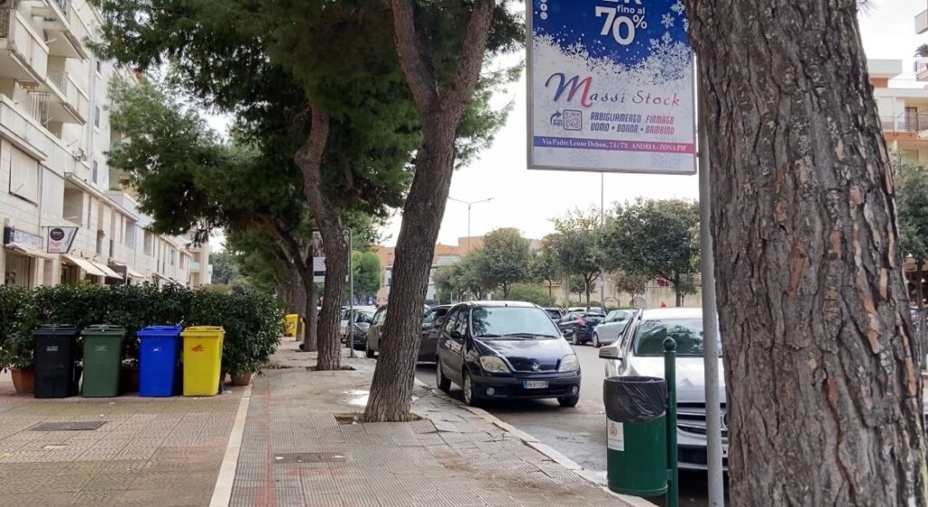 Bisceglie pini Via Di Vittorio