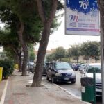 Bisceglie, abbattimento di pini in Via Di Vittorio: ambientalisti sulle barricate